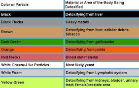 Detox Ion Foot Bath Ancient Therapies