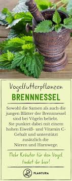 Pin Auf Garten