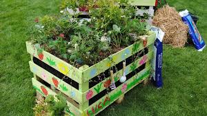 Die nächsten 4 bis 5 jahre wird es mit anderen pflanzen bestückt. Erdbeeren Auf Balkon Und Terrasse Anbauen Mdr De