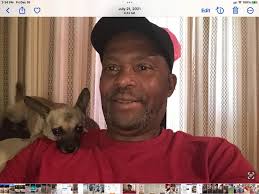 Why does my chihuahua sit