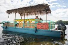 Tiki Boat Cruise on Huron River Chain of Lakes