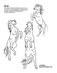 Majestic Movement How To Draw Horses Horse Drawings Horse Drawing Tutorial Horse Art