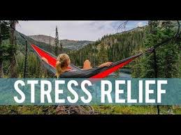 5 Best Supplements To Reduce Cortisol Lower Stress Levels Naturally How To Lower Cortisol Lower Cortisol Levels Cortisol Reduction