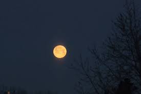 Now, let's discuss what that means for us mere mortals here on earth. People Were In Awe While Capturing Photos Of The Full Wolf Moon In Toronto Last Night
