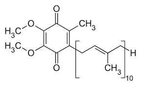 Coenzyme Q10 Wikipedia