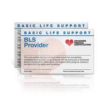 With student convenience in mind, we have created the easiest bls certification and renewal courses using our automated training, testing, and certificate delivery system. Online Bls Certification Course W Detailed Images Videos Free