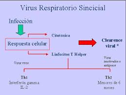 Si bien los más afectados por la infección son los niños menores de 2 años, que presentan síntomas más severos, la infección. Novedades Sobre Virus Respiratorio Sincicial Medwave