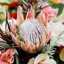 Free flower delivery by top ranked local florist in york, pa! Lincolnway Flower Shop Greenhouses 15 Photos Florists 3601 East Market St York Pa Phone Number Products Yelp
