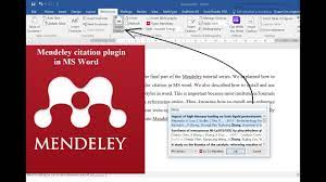 You can export everything from the current document to. How To Use Mendeley For Referencing In Microsoft Word How To Insert Citation And Bibliography Youtube