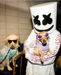 Pin By Azul On Marshmello Joker Hd Wallpaper Ultra Music Festival Dj