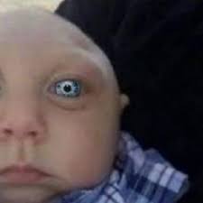 Evan Belabe (@EBelabe)