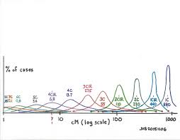 Segment Size Vs Cousinship Chart Needed Segment Ology