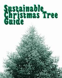 We did not find results for: A Sustainable Christmas Tree Guide