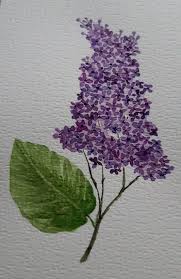 Pin On Watercolor