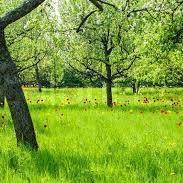 21 privitoare la propunerea de carantinare a localitatii dobroesti11 martie 2021. AsociaÈia De Dezvoltare IntercomunitarÄ Pt Transport Public BucureÈti Ilfov Home Facebook