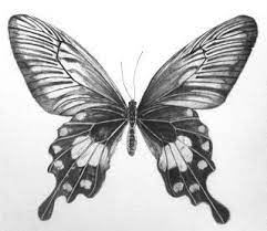 Pin On Art
