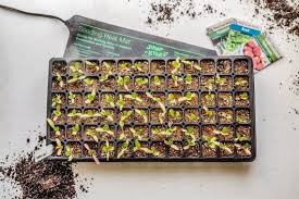 We did not find results for: Best Seedling Heat Mat For Indoor Plants 2021