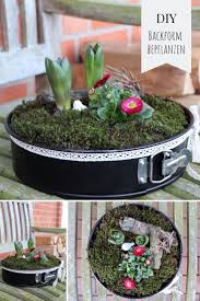 Moos Ideen Fur Den Garten Moosherz Binden Und Backform Bepflanzen Lavendelblog Garten Upcycling Diy Gartenprojekte Backformen