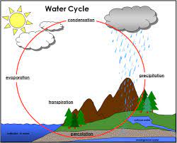 Water Cycle Water Cycle Montessori Materials Montessori Science