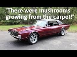 Image result for Mushroom 1967 AC Cars