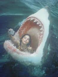 Instagram Extreme Selfie Jaws Shark Week Personal Photo Belly Of The Beast Duck Face Seflies The Trend Is Out Of Con Sharks Funny Funny Pictures Humor