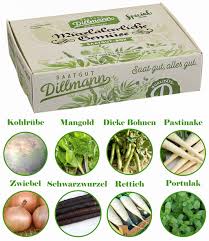Hallo und herzlich willkommen auf unserer webseite. Mittelalterliche Gemuse Saatgut Box S Baldur Garten