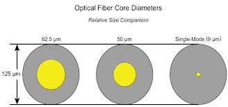 Fiber Type Vs Speed And Distance