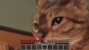 Cat Sneak Attack Gone Minecraft Meme Youtube
