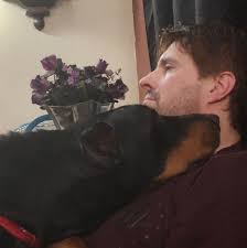 Little floof ball 🐺🩶 📸: @mother_of_wolfdogs