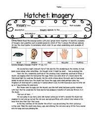 Imagery Lesson Activity For Hatchet By Gary Paulsen Lessons Activities Hatchet Novel Study Hatchet Book Activities