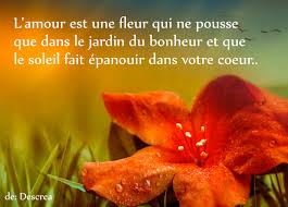 Pin By Nithael On Citations De Descrea Fruit Strawberry Food