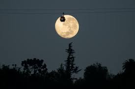 We did not find results for: Las Fases De La Luna En Mayo Del 2021