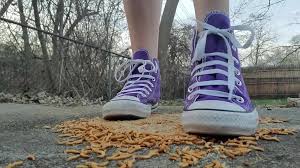 Free HD Converse Mealworm outside Giantess Bug Crush Fetish Trample Video