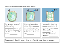 We did not find results for: Osmosis And Plant Cells Starter Teaching Resources