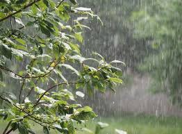 Gratuitos para uso comercial não precisam de atribuição vídeos de alta qualidade, em hd e 4k. Chuva De Abril Supera A Media Em Boa Vista Em 2 Dias Climatempo