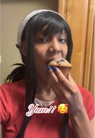 Robin Blueberry Muffin