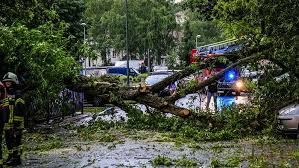 Die währung in der schweiz ist der schweizer franken. Erneut Schwere Unwetter In Und Um Berlin Wetter Com
