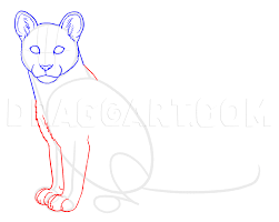 How To Draw Cougars Mountain Lion Step By Step Drawing Guide By Makangeni Dragoart Com Collection of free drawing mountains basic download on ui ex. how to draw cougars mountain lion