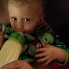 Where to find adjustable rat harness?