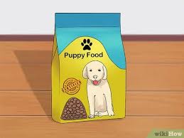 Check spelling or type a new query. How To Take Care Of Puppies With Pictures Wikihow