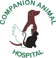Have a question about using your pet assure card at this practice? Companion Animal Hospital