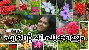 It belongs to the family araceae and scientific name is pistia stratiotes. 41 Flowers Which Bloomed In My Garden Within One Year à´Žà´¨ à´± 41 à´ª à´• à´•àµ¾ Garden Tour Malayalam Youtube