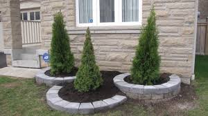Http 0 Tqn Com W Experts Trees 739 2011 05 Emerald Cedar Jpg Garden Landscape Design Front Yard Garden Design Front Yard Landscaping