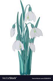 Bouquet Of Snowdrops Royalty Free Vector Image Watercolor Fashion Sketch Vector Free Vector Images