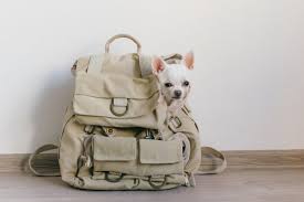 Quilted bag merujuk pada model tas dengan bahan yang dijahit menyerupai selimut dari kain perca. 8 Rekomendasi Tas Gendong Wanita Berbahan Suede Untuk Penampilan Yang Keren 2019