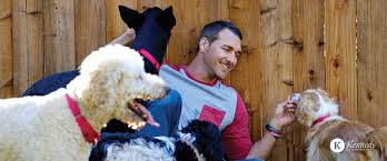 Kennedy Lecture Series Welcomes Brandon Mcmillan Host Of Cbs Show Lucky Dog Woub Public Media