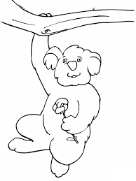 Koala bear to color coloring home. Free Printable Koala Coloring Pages For Kids