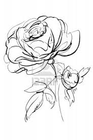 Sketch Of Rose On A White Background Roses Drawing Rose Sketch English Rose Tattoos
