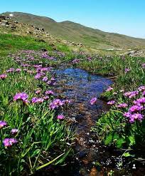 هل يمكن القول إن هناك حضوراً أو دوراً إيرانياً في ليبيا، التي توجد في الشمال الأفريقي وبعيدة جغرافياً من إيران؟ وأين هذا الدور في ظل الحضور الفعلي العلني لعدد من القوى والفاعلين الإقليميين والدوليين في الأزمة الليبية؟ Ø¹ÙŠÙ† Ø¹Ù„Ù‰ Ø§ÙŠØ±Ø§Ù† Ø¬Ù…Ø§Ù„ Ø§Ù„Ø·Ø¨ÙŠØ¹Ø© ÙÙŠ Ù‚Ø±ÙŠØ© Ø³Ù†Ú¯Ø§Ù† Ø§Ø·Ø±Ø§Ù Ø§Ù„Ø¹Ø§ØµÙ…Ø© Facebook