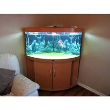 Corner Aquarium With Stand You Ll Love In 2021 Visualhunt It has lived in a large tank and fed tetra prima granules.